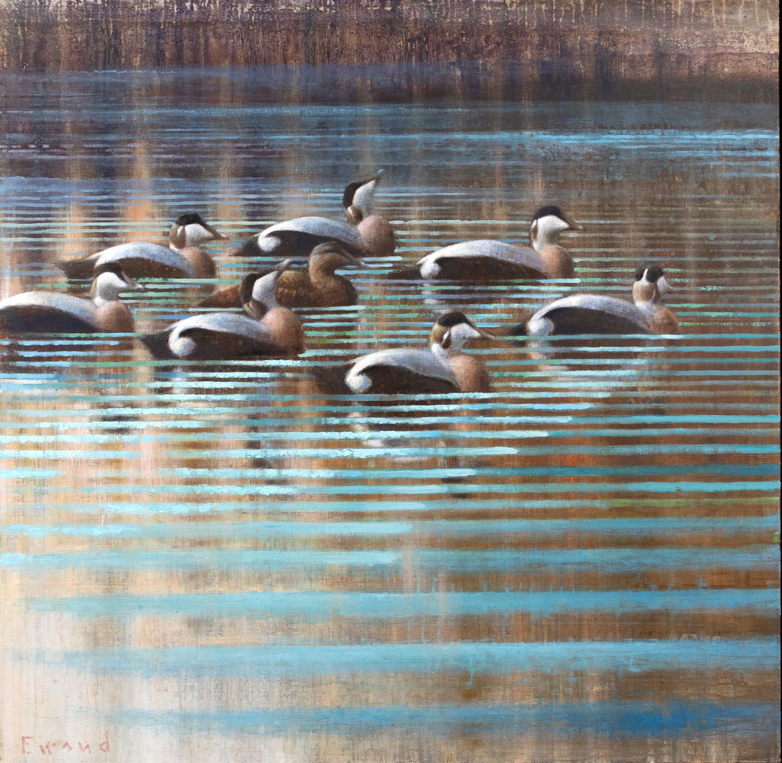 Ewoud de Groot (b. 1969), Eiders: Ewoud de Groot (b. 1969) Eiders, 2025 signed "Ewoud" lower left oil on linen, 43 1/2 by 43 1/2 in. "My technique is based on the principle of painting in layers, using cold blueish-greys and warm brow