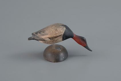 Miniature Canvasback by A. Elmer Crowell (1862-1952)