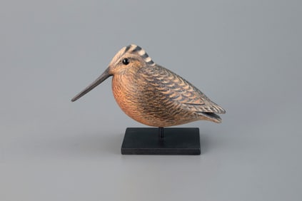 Woodcock by David B. Ward (1947-2020)