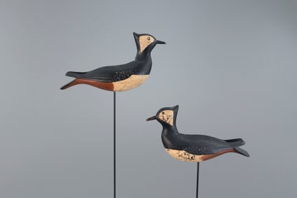 McCleery Lapwing Pair, European