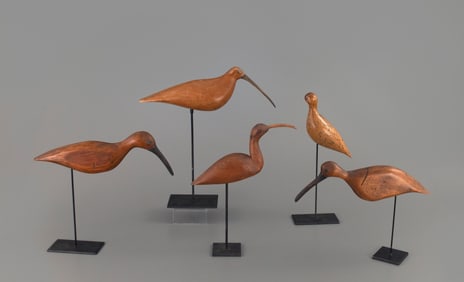 Five Shorebirds