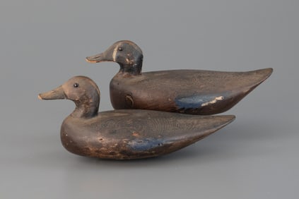 Stanley Rig Blue-Winged Teal Pair