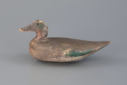 Stanley Rig Green-Winged Teal