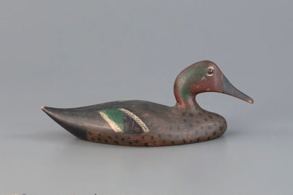 Green-Winged Teal