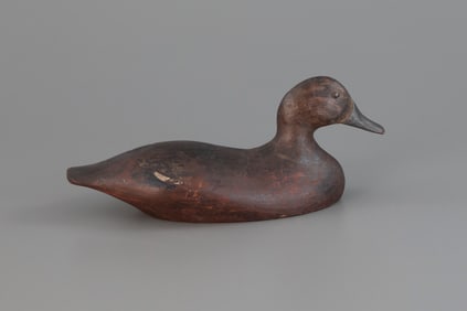 Teal Hen
