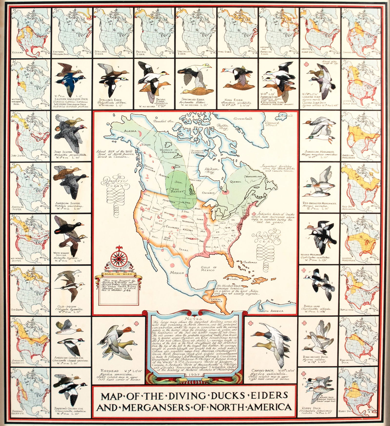 Richard E. Bishop (1887-1975), Two Waterfowl Maps (1 of 6)
