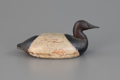 Rare Miniature Canvasback by Ned John Hauser (1826-1900)