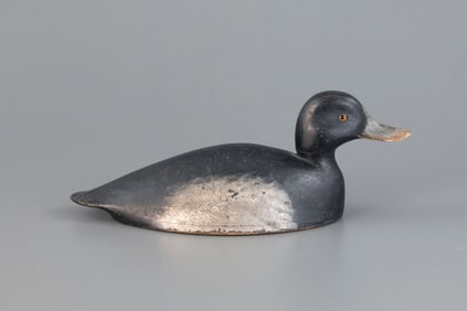 Hollow Bluebill