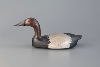 Snakey-Head Canvasback by Tobin Meldrum
