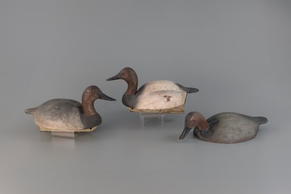 Canvasback Trio by Gordon "Pecor" Fox