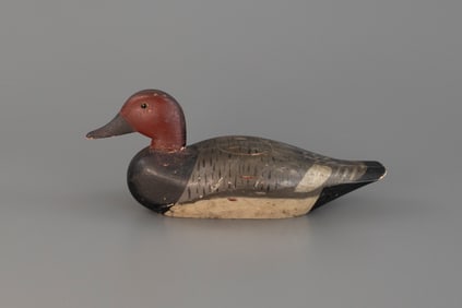Redhead Drake attributed to Edmund G. Gardiner (1844-1923)