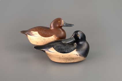 Broadbill Pair by Paul Lipke (1892-1970)