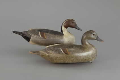 Pintail Pair with Raised Wings by Charles H. Perdew (1874-1963)