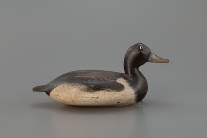 Bluebill by Robert Elliston (1847-1925)