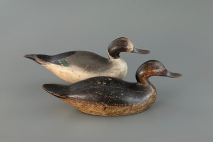 Premier-Grade Pintail Pair by Mason Decoy Factory (1896-1924)