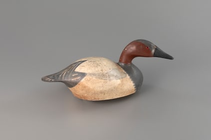 Turned-Head Canvasback by August "Gus" Moak (1852-1942)