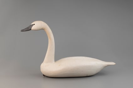 Swan by Bob Biddle (b. 1937)