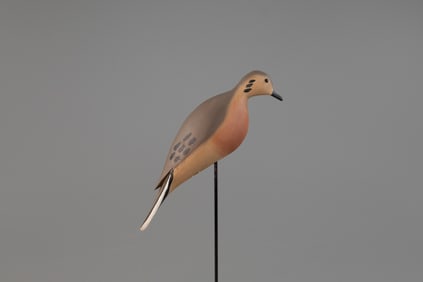 Dove by Grayson Chesser (b. 1947)