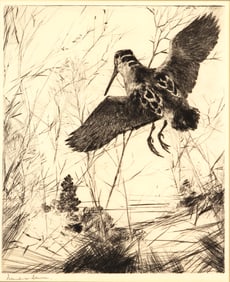 Frank W. Benson (1862-1951), Woodcock