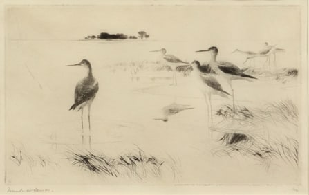 Frank W. Benson (1862-1951), Winter Yellowlegs