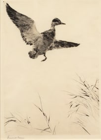 Frank W. Benson (1862-1951), Springing Teal