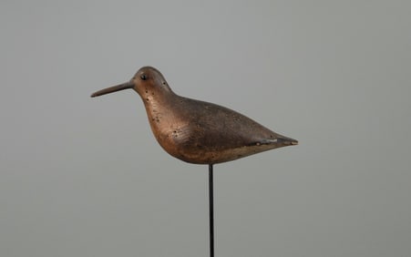 Red Knot by John Dilley
