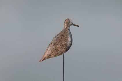 Plover, Verity Family