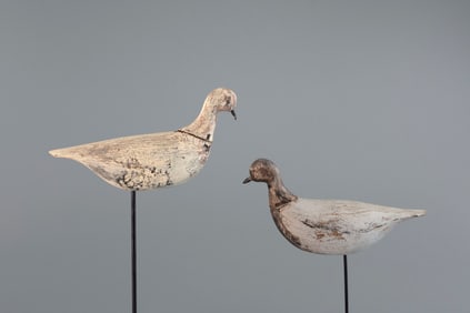Two Ketcham Farm Plovers