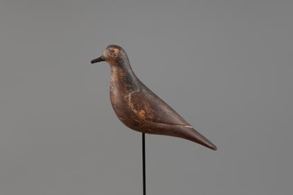 Black-Bellied Plover by William H. Southard (1874-1940)
