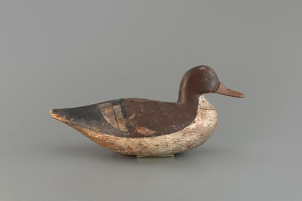 Merganser Hen by Smith Clinton Verity (1845-1920)