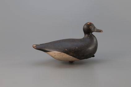 Bluebill by Verity Family