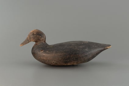 Black Duck by Captain Ben Rhodes