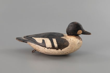 Tucked-Head Goldeneye Drake by Luther M. Nickerson (1874-1951)