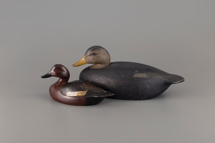 Cinnamon Teal and Black Duck by Ken Harris (1905-1981)