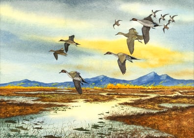 David A. Hagerbaumer (1921-2014), Pintails Taking Off From a Marsh