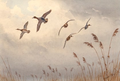 John Cyril Harrison (British, 1898-1985), Turning Teal Over the Reeds