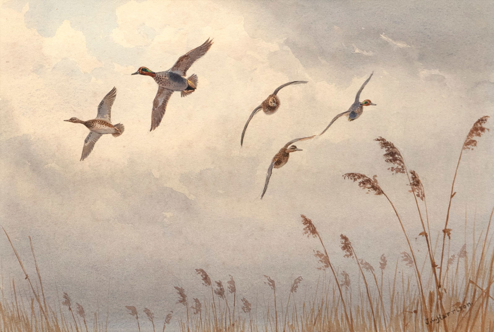 John Cyril Harrison (British, 1898-1985), Turning Teal Over the Reeds (1 of 3)