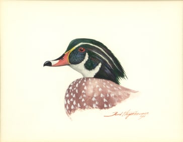 David A. Hagerbaumer (1921-2014), Wood Duck