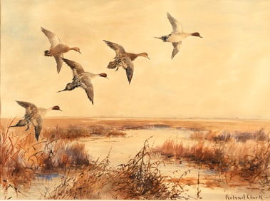 Roland H. Clark (1874-1957), Pintails at Sunset