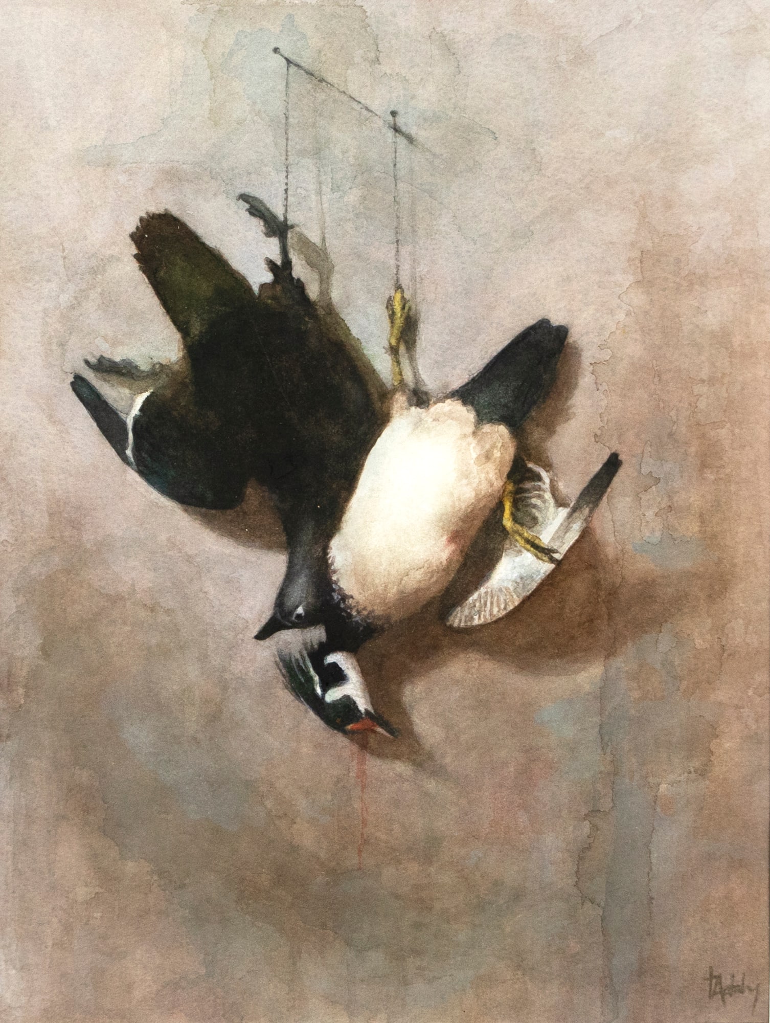 Thomas Aquinas Daly (b. 1937), Summer Ducks: Thomas Aquinas Daly (b. 1937) Summer Ducks signed "TA Daly" lower right watercolor, 15 1/2 by 11 in. titled on back A well-executed watercolor of wood ducks. Provenance: Private Collection, New York