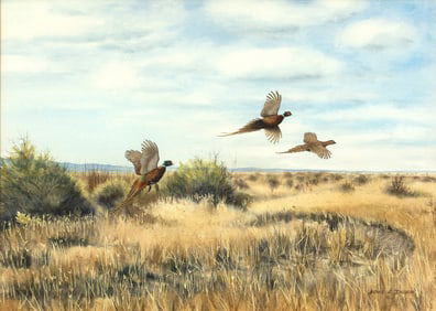 Noel C. Dunn (b. 1939), Ringneck Pheasant