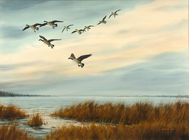 Gary E. Neel (20th Century), Canada Geese