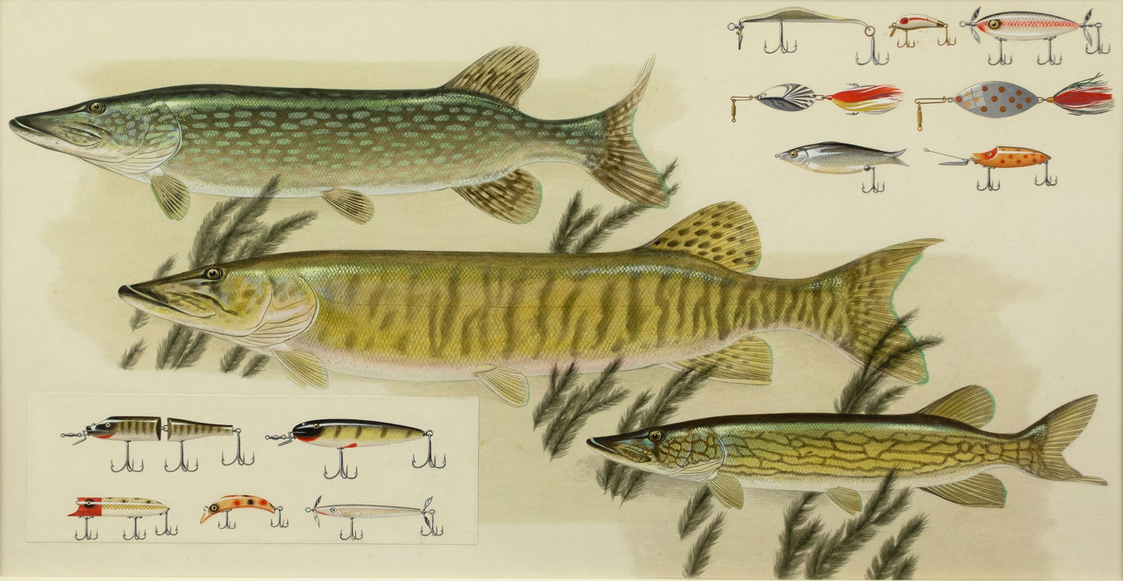 John Atherton (1900-1952), Freshwater Fish and Lures (1 of 3)