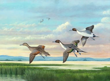 Ron Jenkins (b. 1932), Pintails