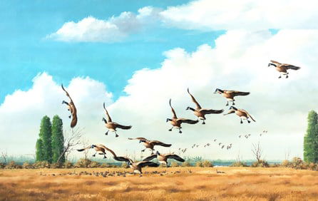Arthur M. Cook (1931-1993), Feeding Grounds - Honkers