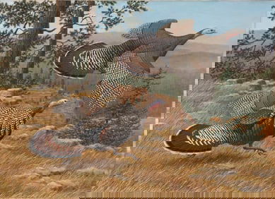 William Harold Zimmerman (1937-2011), Merriam's Wild Turkey