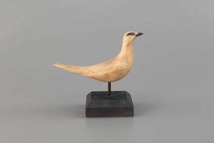 White Bird by Frank S. Finney (b. 1947)