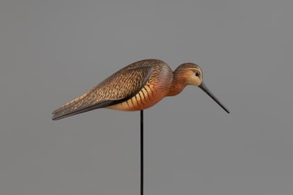 Dowitcher by William Gibian (b. 1946)