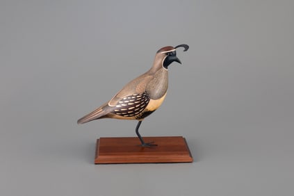 Valley Quail by William Gibian (b. 1946)