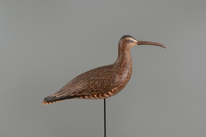 Curlew by David A. Rhodes (1933-2019)